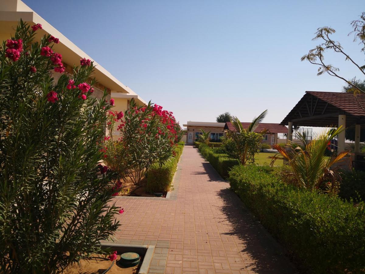 Almorouj Farm Inn - Bidiya ภายนอก รูปภาพ